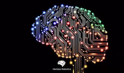 地平線背后 國(guó)內(nèi)車企競(jìng)逐國(guó)產(chǎn)芯，人工智能應(yīng)用軟件開(kāi)發(fā)成新藍(lán)海